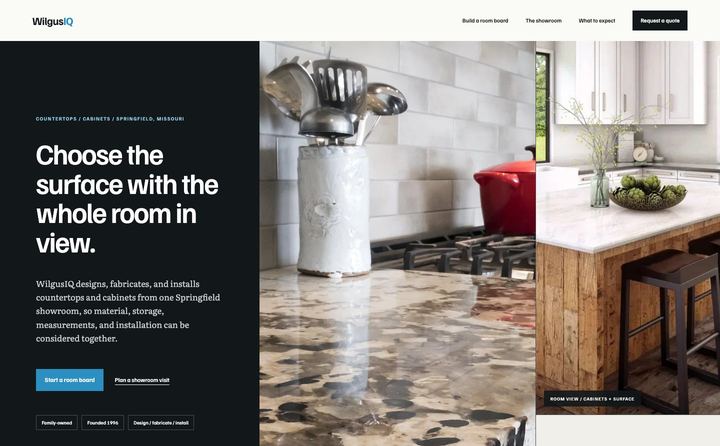 WilgusIQ homepage concept